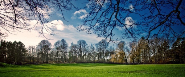 Agroforestry Related Land Use